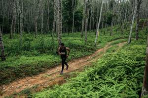 BIB: 
                            <button type="button" onclick="openModal(26339302)" class="btn btn-primary btn-sm float-right btn-popup" data-toggle="modal" data-target=".modal-high-quality">
                        <i class="fas fa-shopping-cart"></i> Add to Cart
                    </button>
                                            <button type="button" onclick="isThisMe(26339302, true)" class="btn btn-success btn-sm float-right btn-popup btn-isme hidden" data-toggle="tooltip" data-placement="bottom" title="นี่คือรูปของคุณใช่ไหม คลิกที่นี่เพื่อเอาเข้าอัลบั้ม">
                        <i class="fas fa-plus"></i> Add to album
                    </button>
                    <button type="button" onclick="isThisMe(26339302, false)" class="btn btn-warning btn-sm float-right btn-popup btn-isnotme hidden">
                        <i class="fas fa-ban"></i> Remove from album
                    </button>